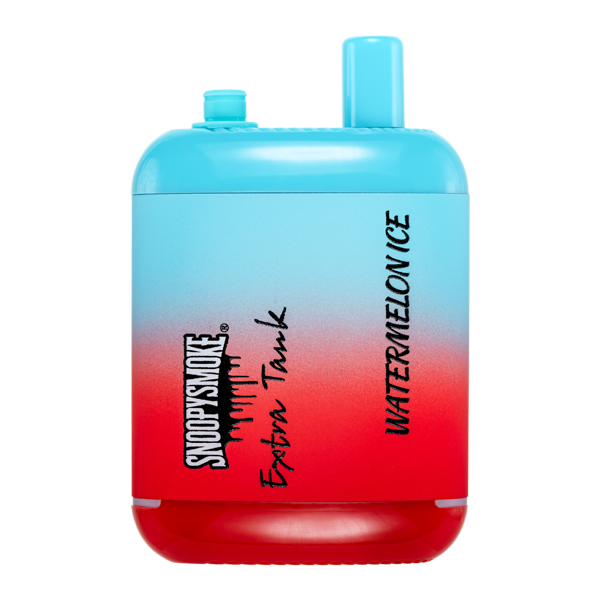Watermelon ice